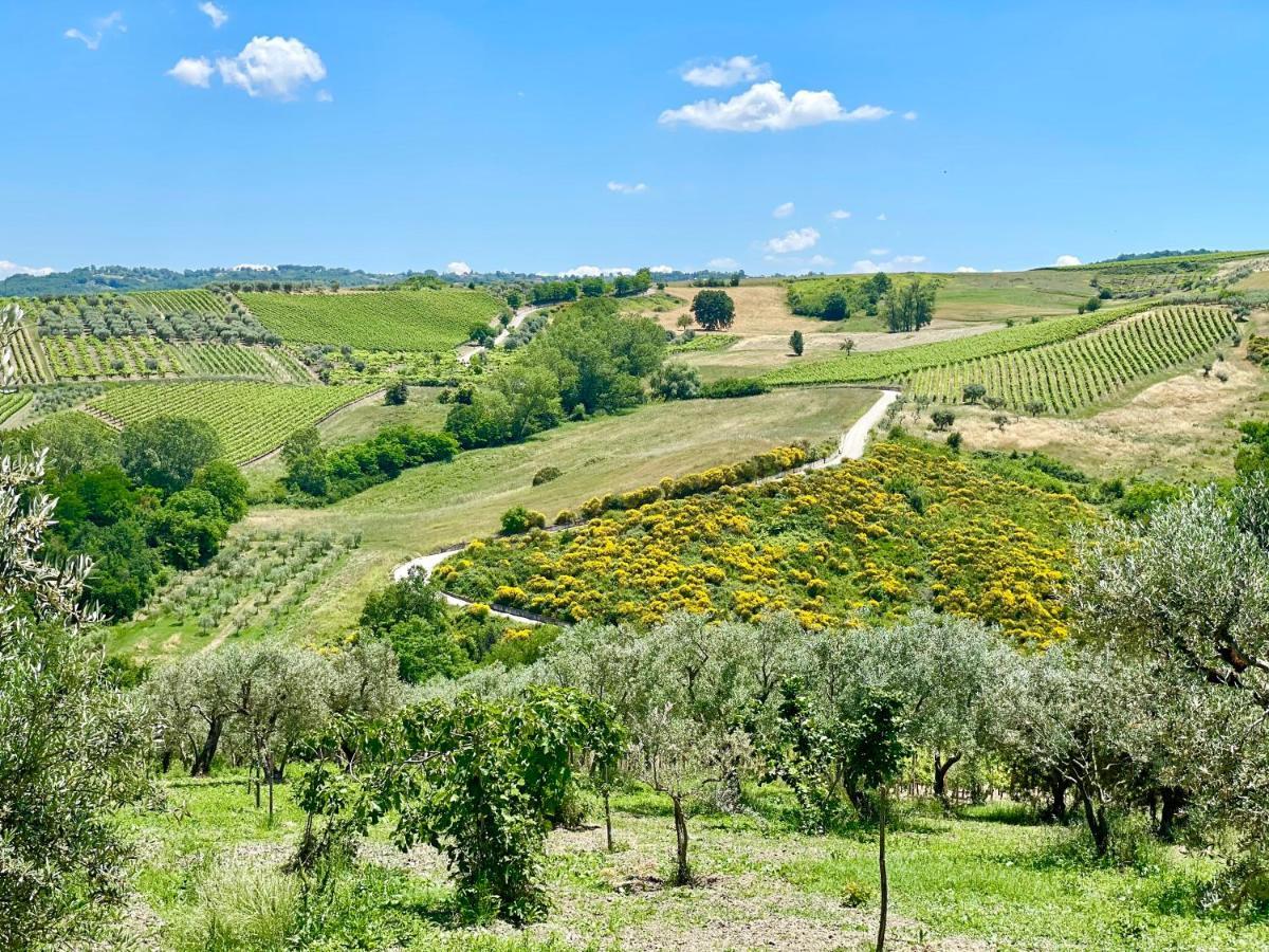 Agriturismo Le Masciare Paternopoli Екстериор снимка