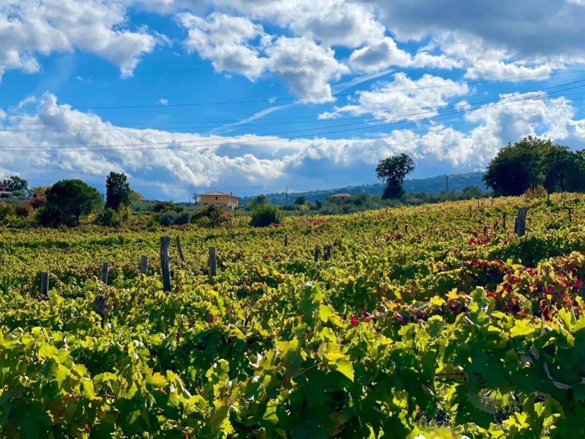 Agriturismo Le Masciare Paternopoli Екстериор снимка